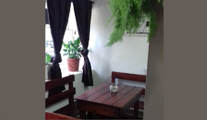 Cafetería acogedora, con mesas de madera y planta decorativa